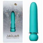 Blue 10.1 cm USB Rechargeable Bullet