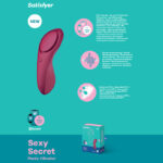 App Contolled USB-Rechargeable Panty Vibrator
