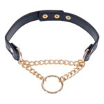 Navy Blue/Gold Collar