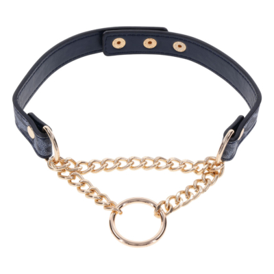 Navy Blue/Gold Collar