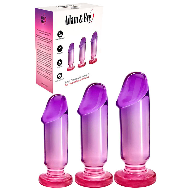 Pink/Purple Anal Training Set - Set of 3 Plugs