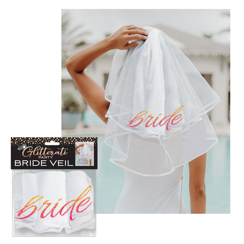 Hens Party Novelty Veil