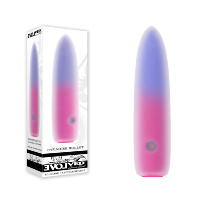 Pink/Purple 10.2 cm USB Rechargeable Bullet