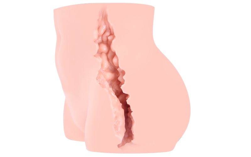 One vaginal opening for penetration.