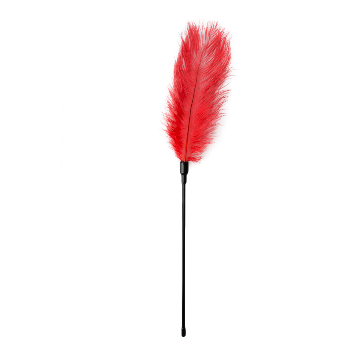 a tickler is the perfect toy for you! Use the side of the long feather to stimulate a large area of the skin or use the point for pinpoint stimulation.</p>