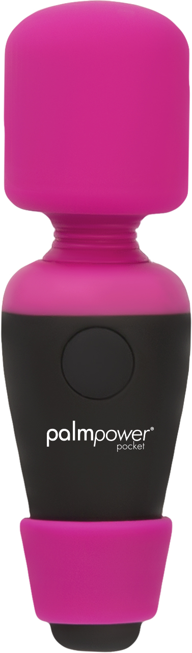 <p>The Palmpower Pocket comes with a discreet silicone storage case