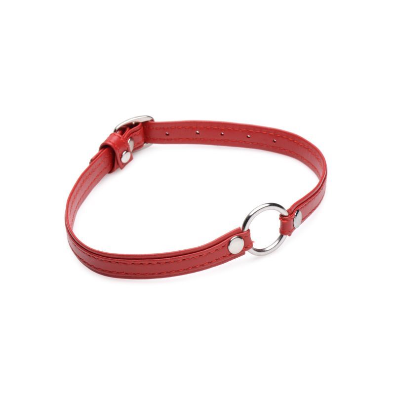 Decorate your subs neck with this elegant symbol of ownership! This Slim Collar is subtle enough to be worn in the dungeon