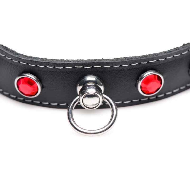 Adorn your darling pet or your own neck in the bedazzled collar! Adorned with rhinestones that glimmer in the light