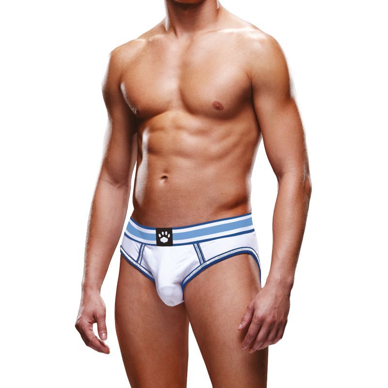 these briefs feature a blue and white two tone waistband