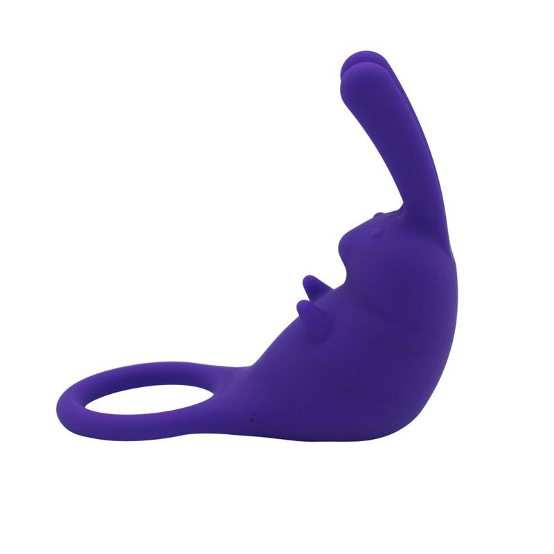 <p>The Cock Hopper is a cock ring and rabbit bullet vibrator. Targeted for external stimulation