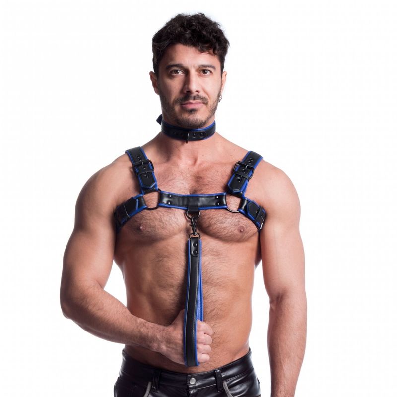 Vegan Bulldog Harness Black and Blue - Image 2
